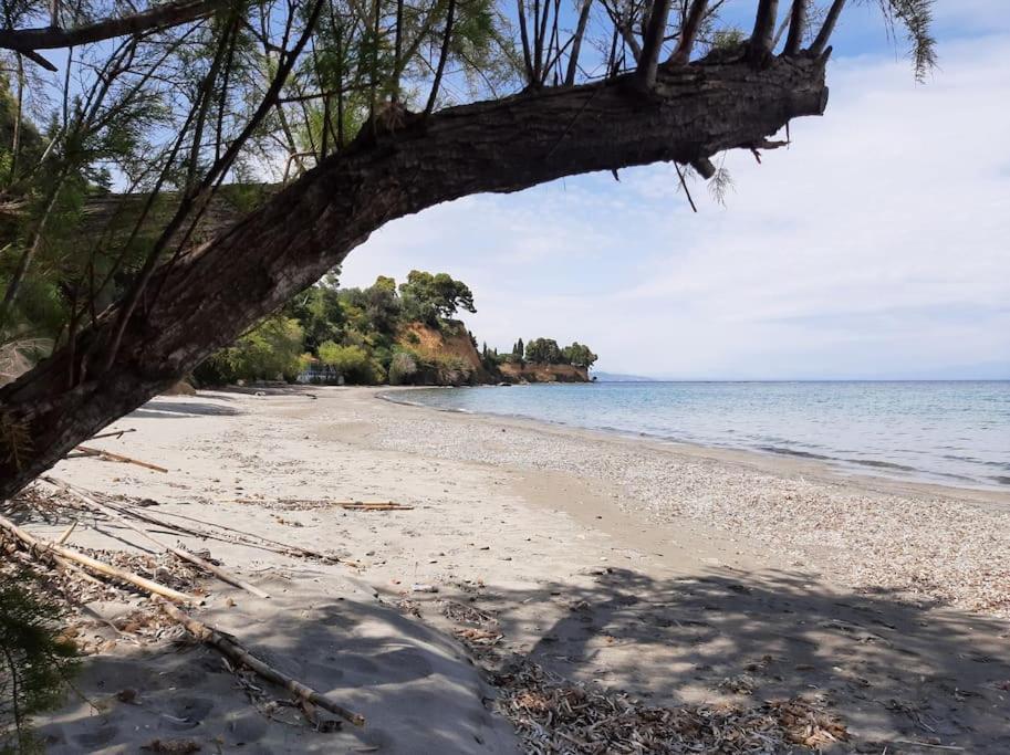 Traditional House At Koroni Near Beach Exterior foto